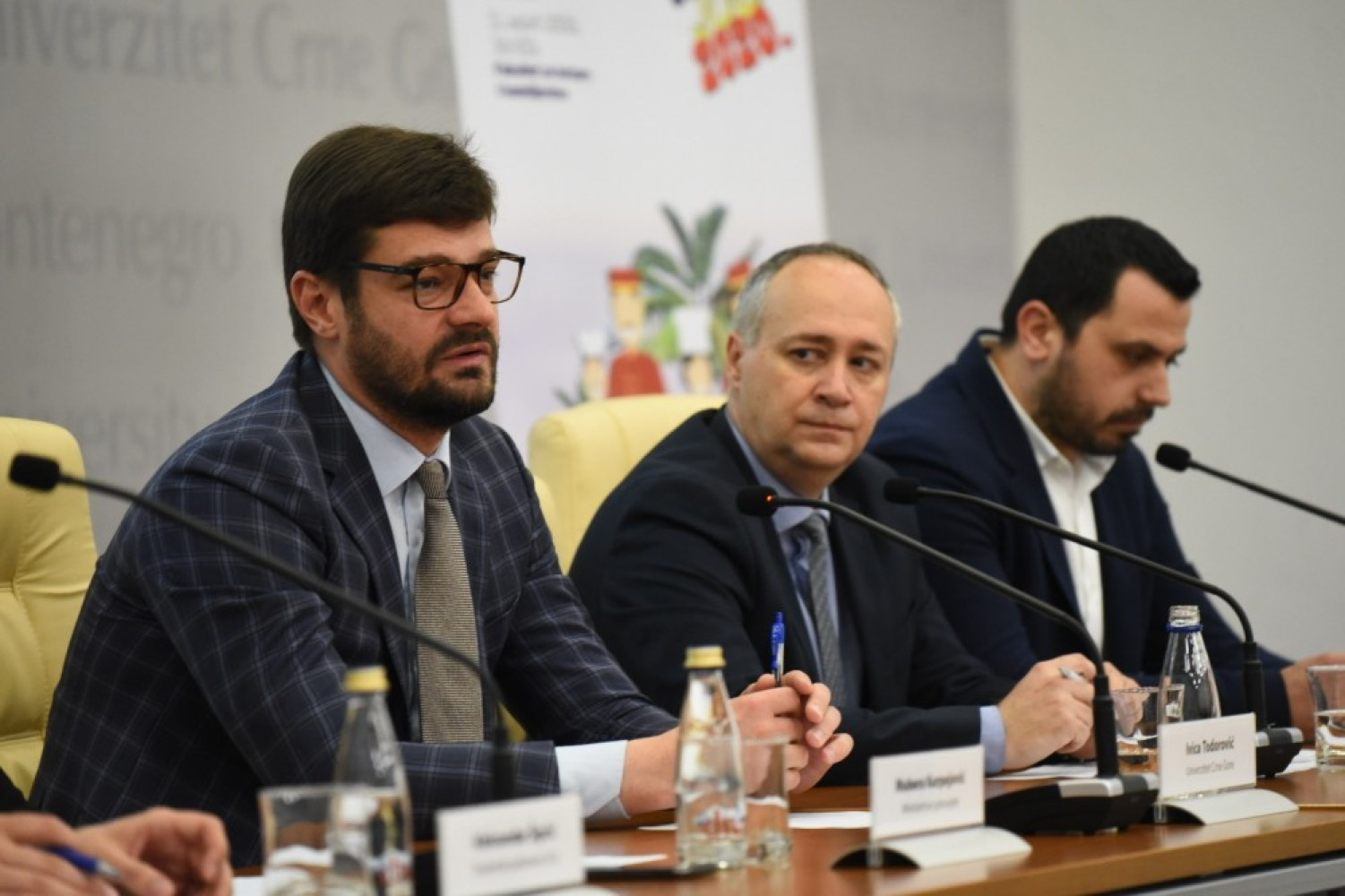 Univerzitet Crne Gore