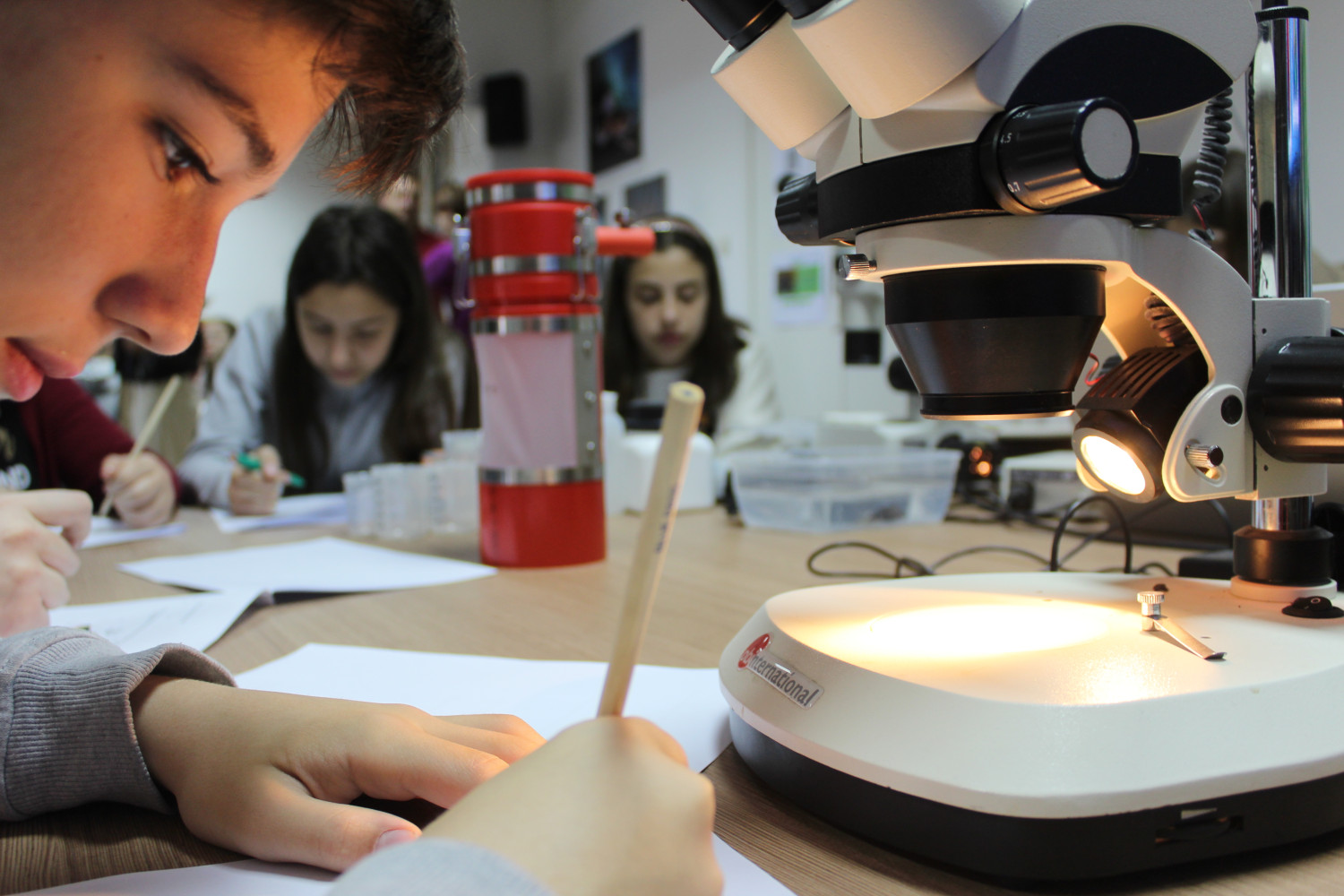 Univerzitet Crne Gore