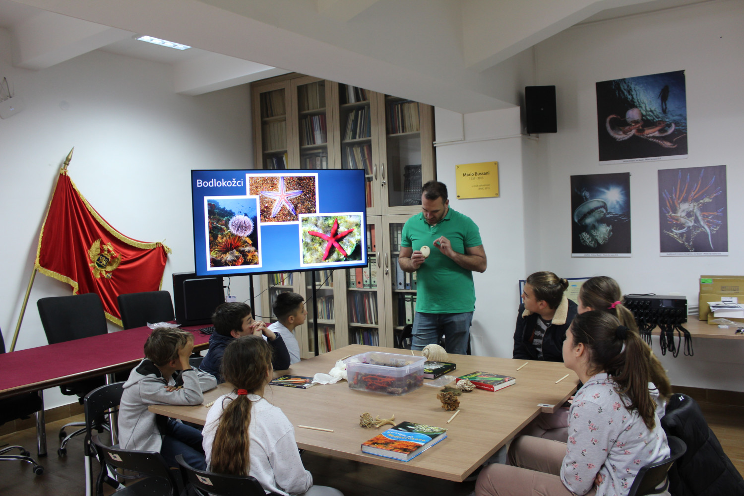 Univerzitet Crne Gore