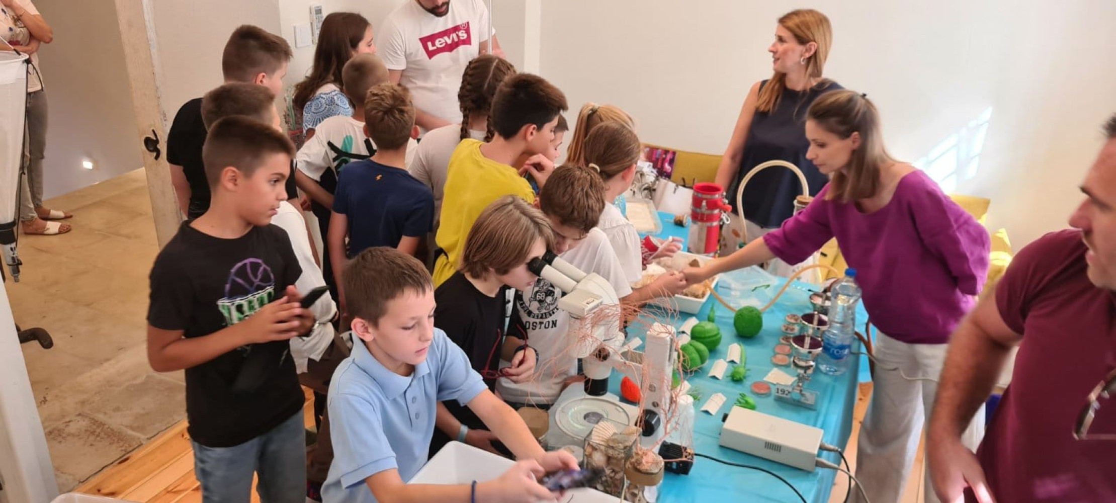 Univerzitet Crne Gore