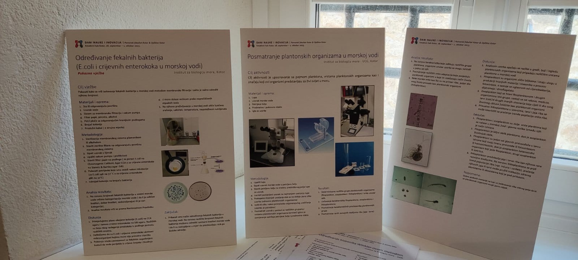 Univerzitet Crne Gore