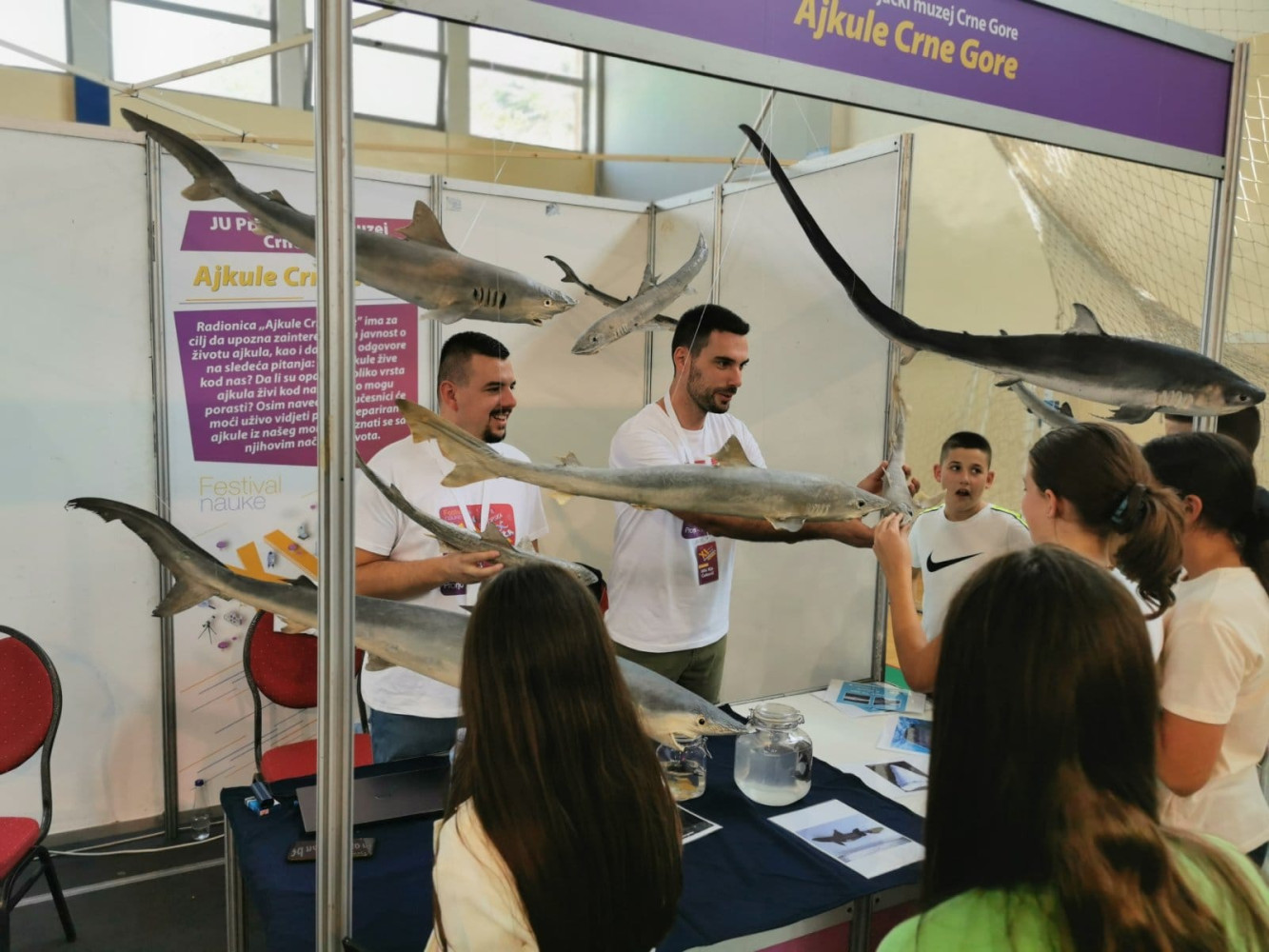 Univerzitet Crne Gore