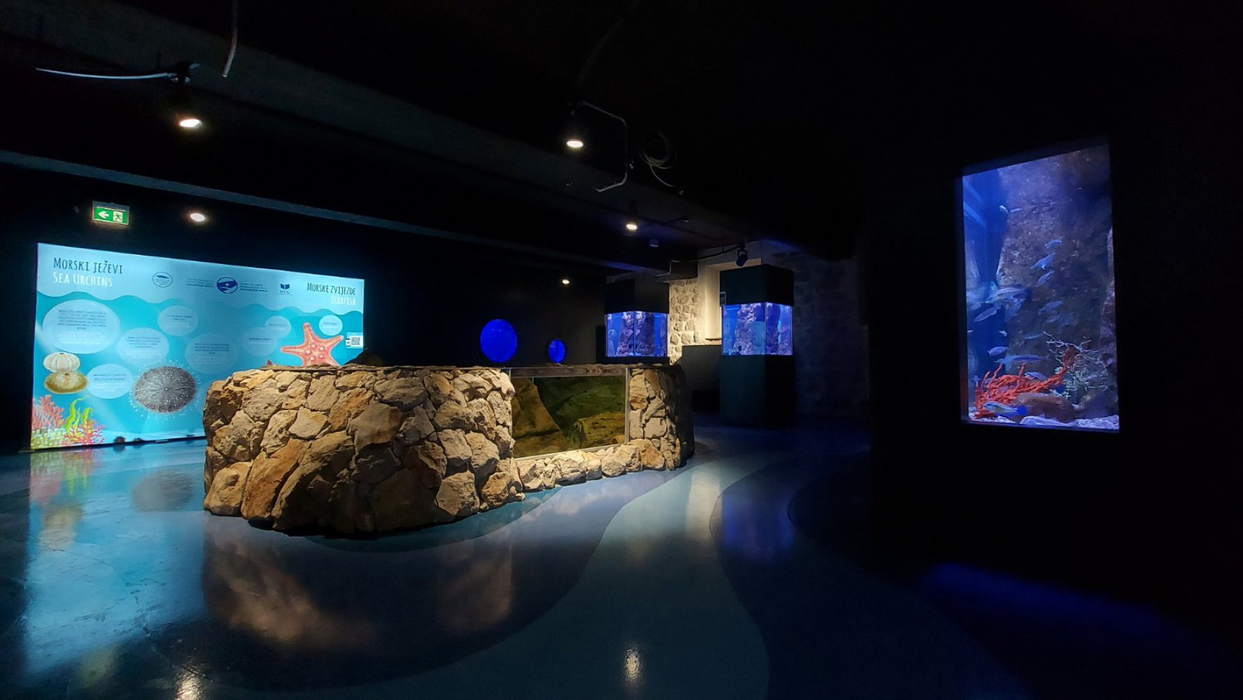 Univerzitet Crne Gore