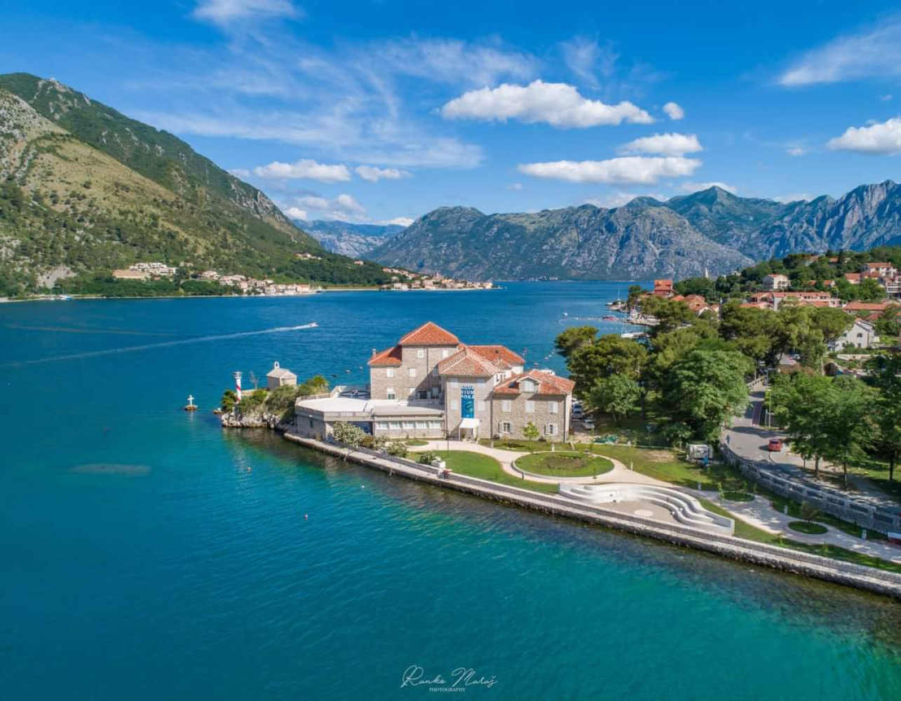 Univerzitet Crne Gore