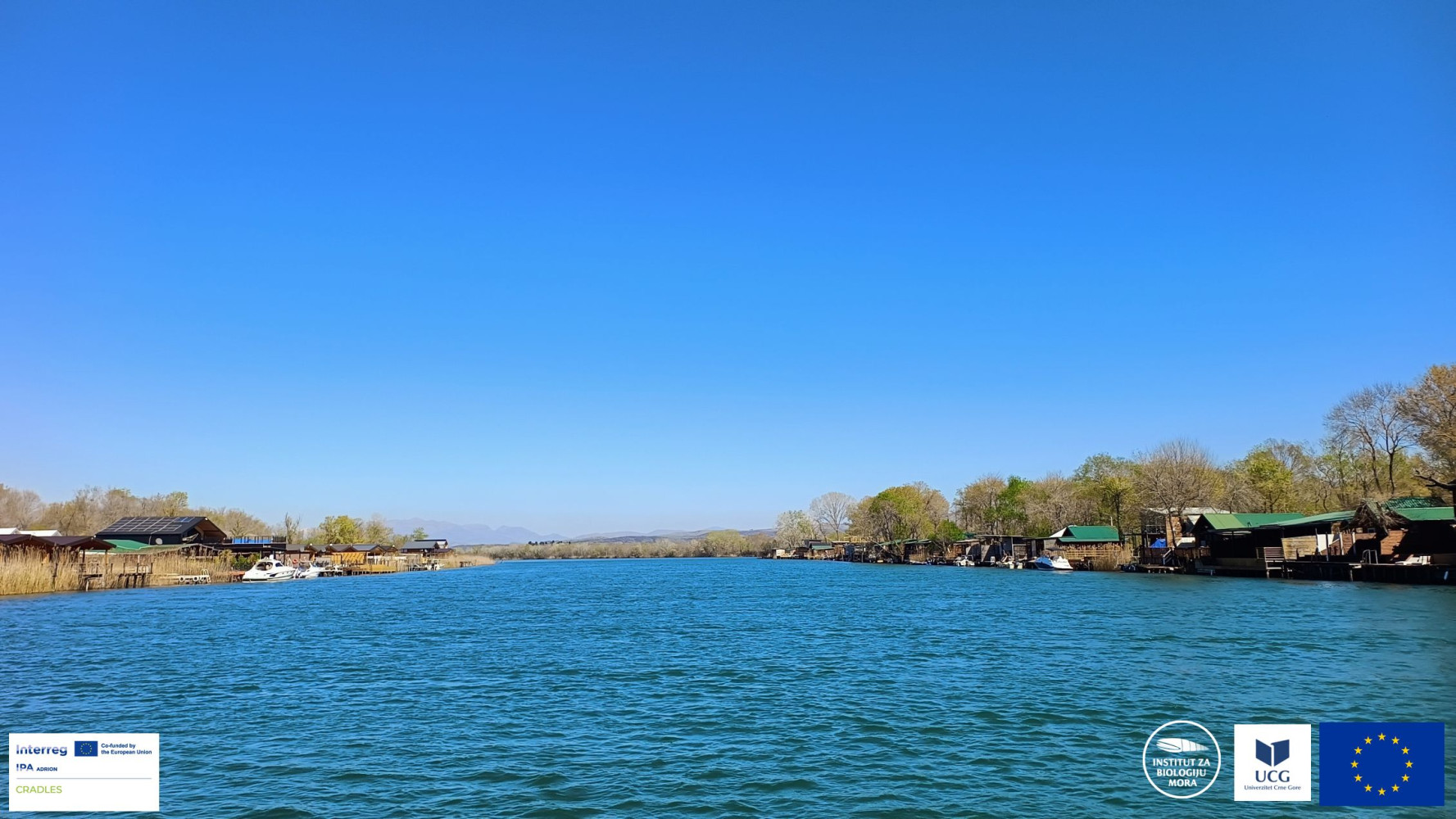 Univerzitet Crne Gore