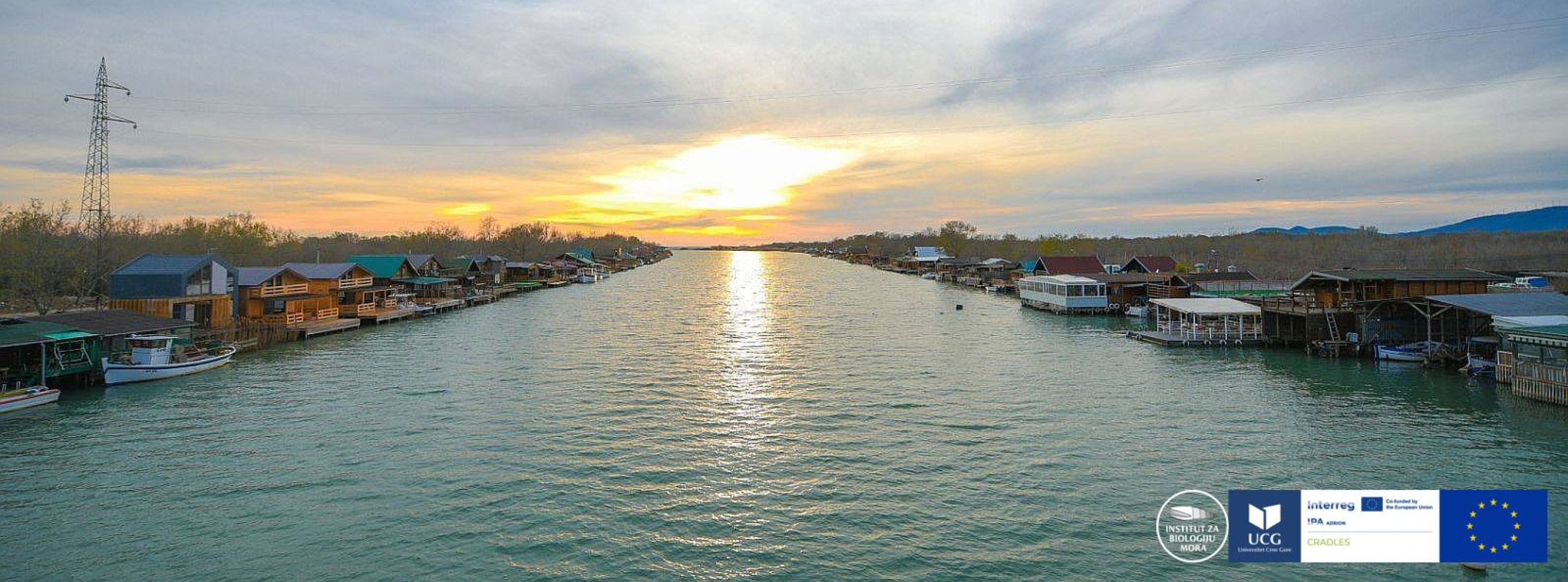 Univerzitet Crne Gore