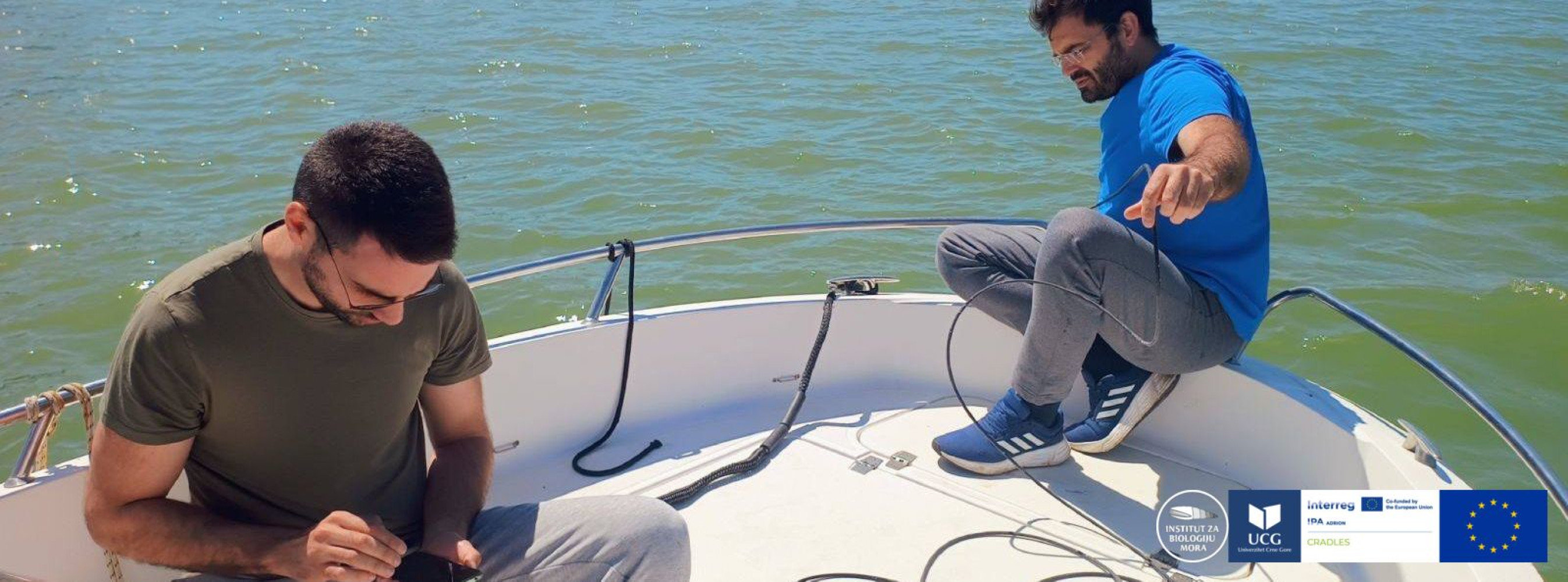 Univerzitet Crne Gore