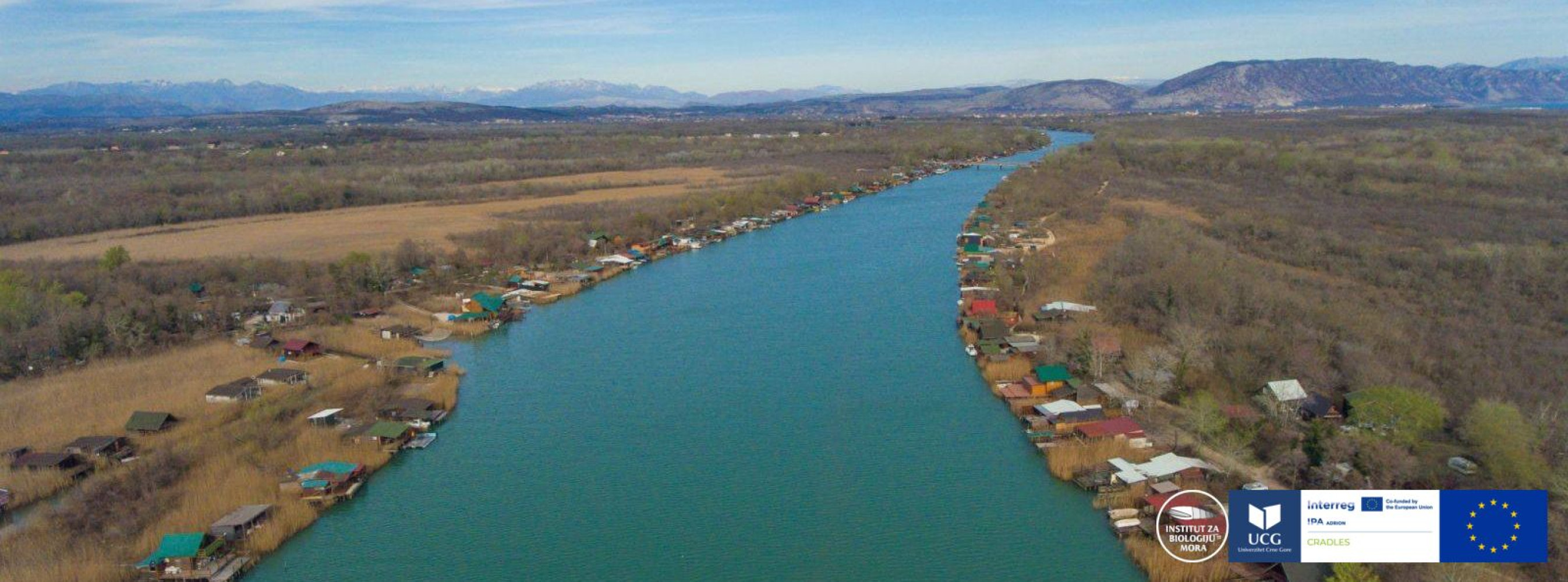 Univerzitet Crne Gore