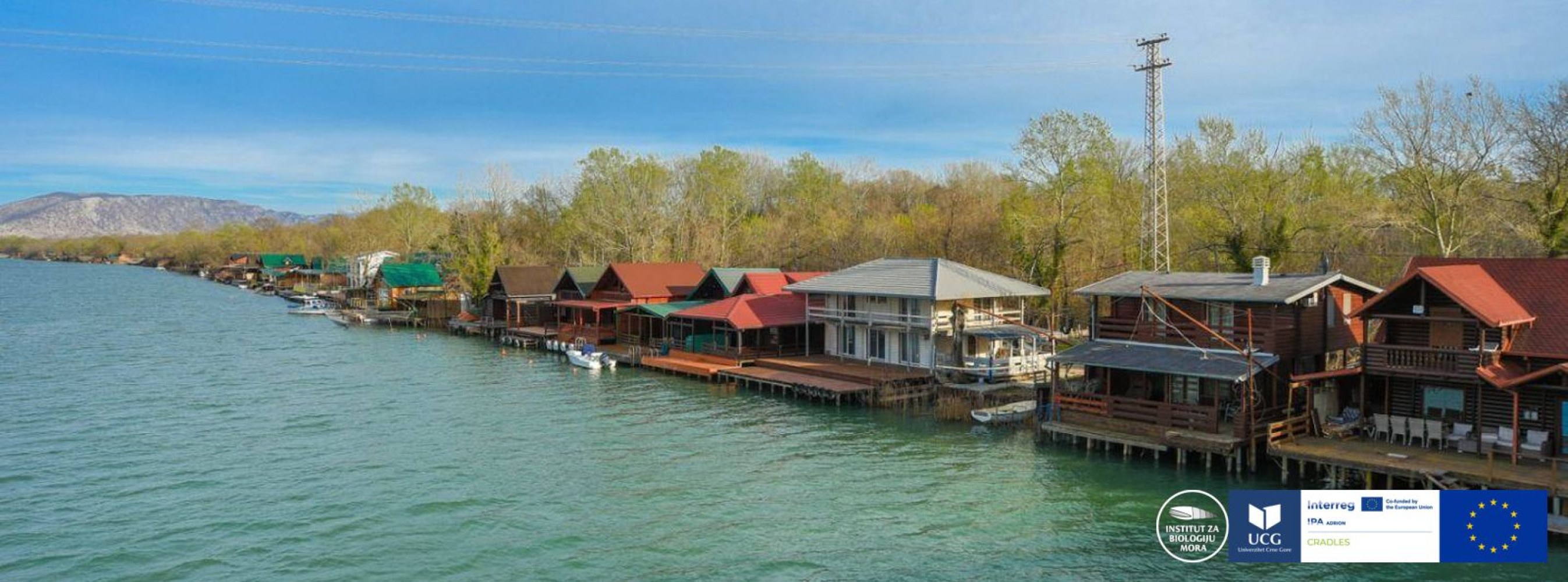 Univerzitet Crne Gore