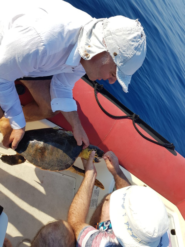 Univerzitet Crne Gore