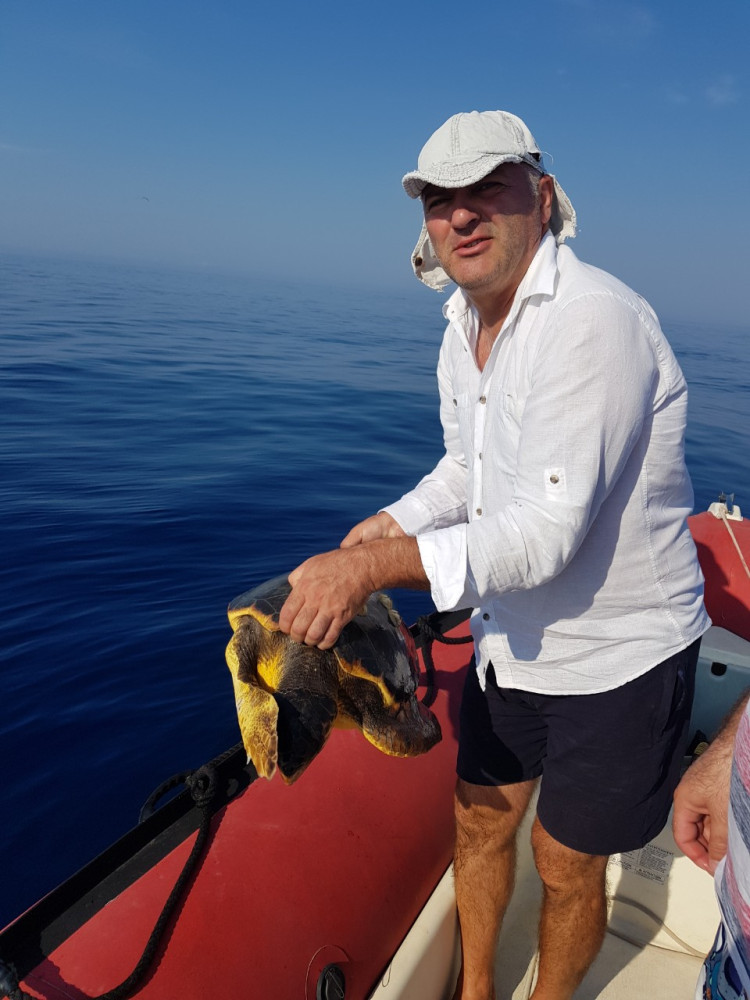 Univerzitet Crne Gore