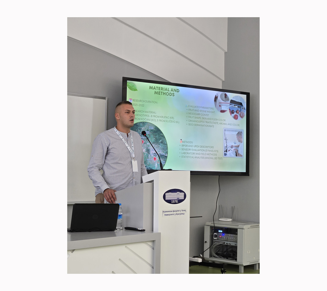 Univerzitet Crne Gore