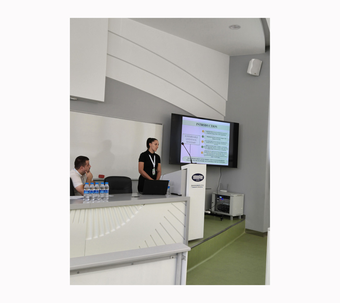 Univerzitet Crne Gore