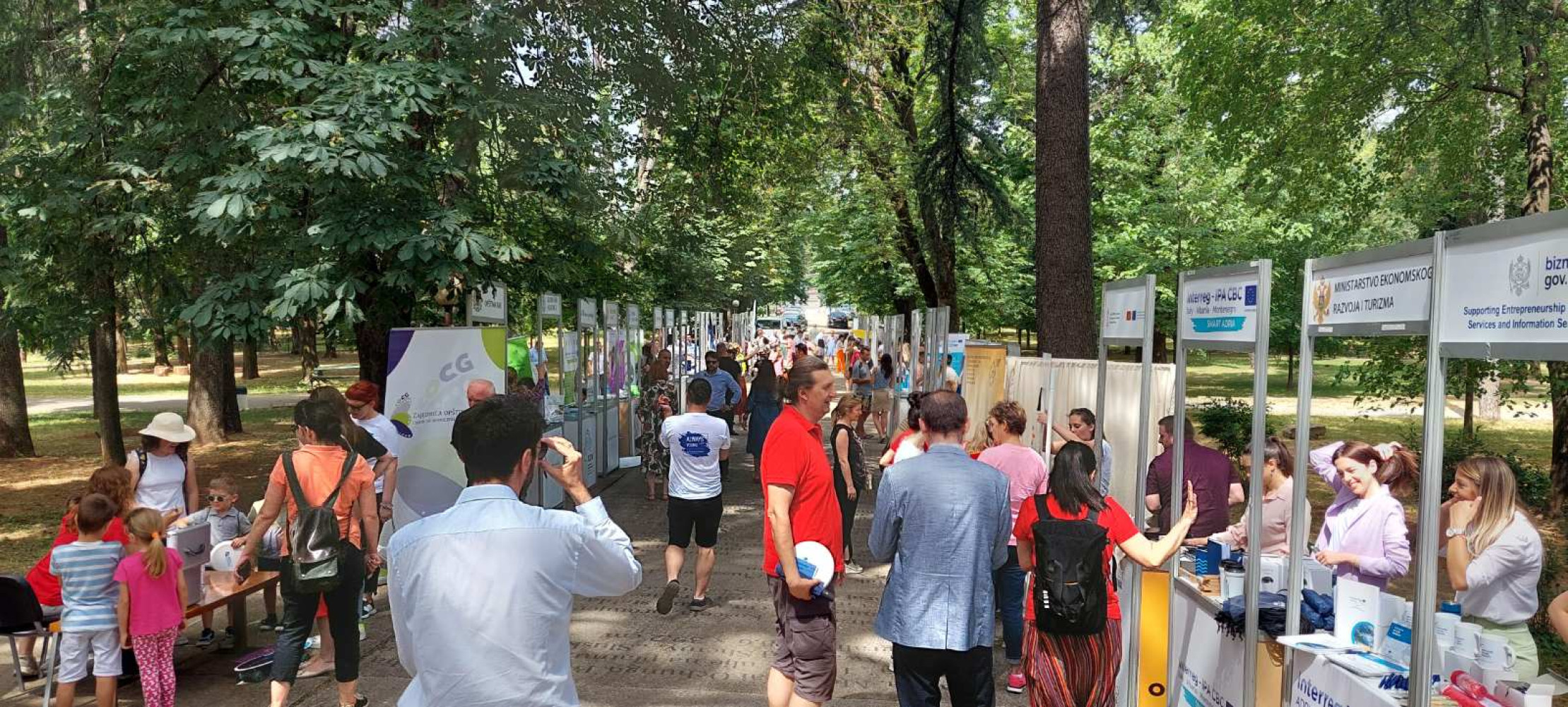 Univerzitet Crne Gore