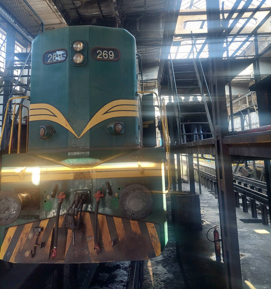 Univerzitet Crne Gore