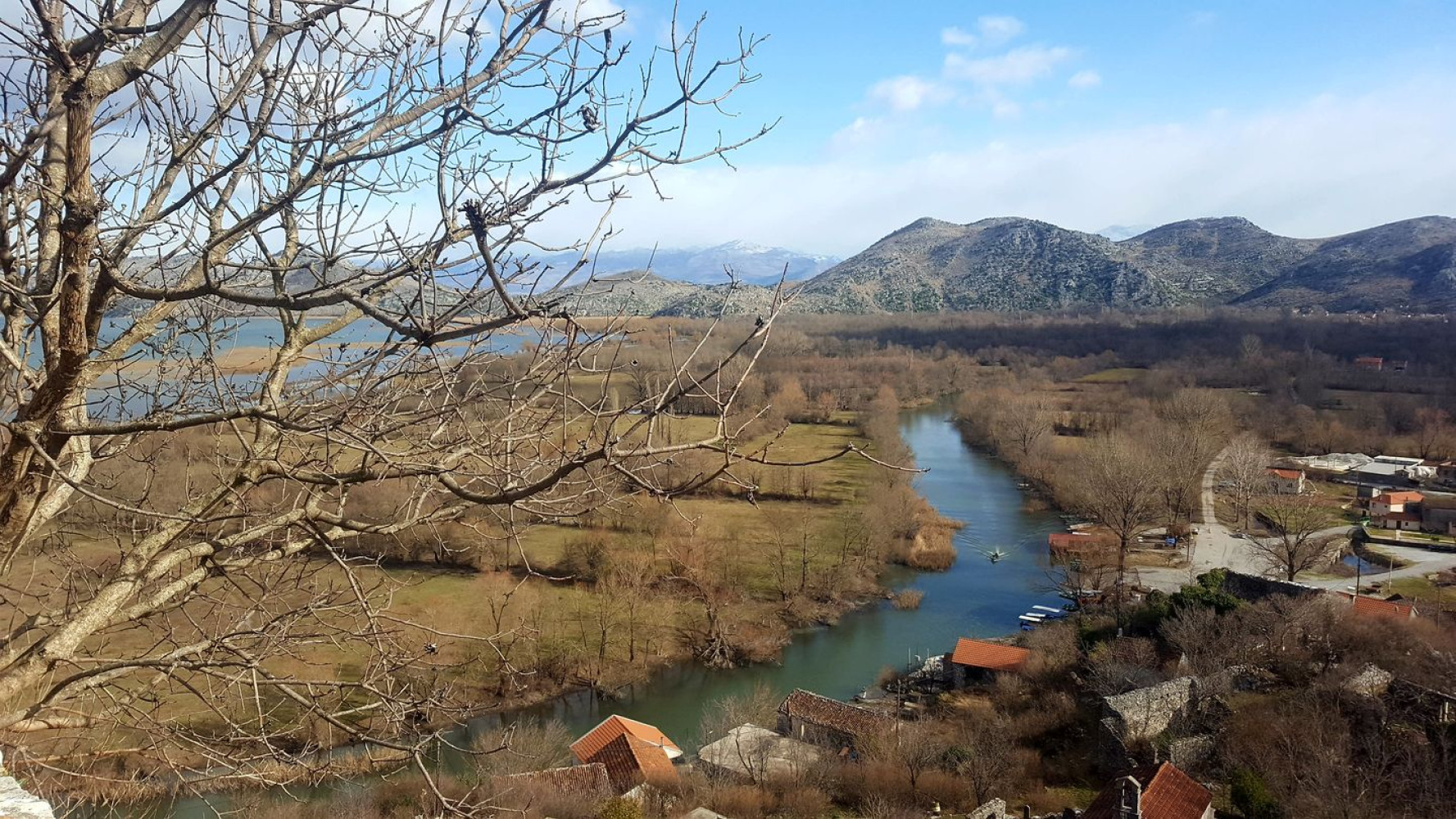 Univerzitet Crne Gore