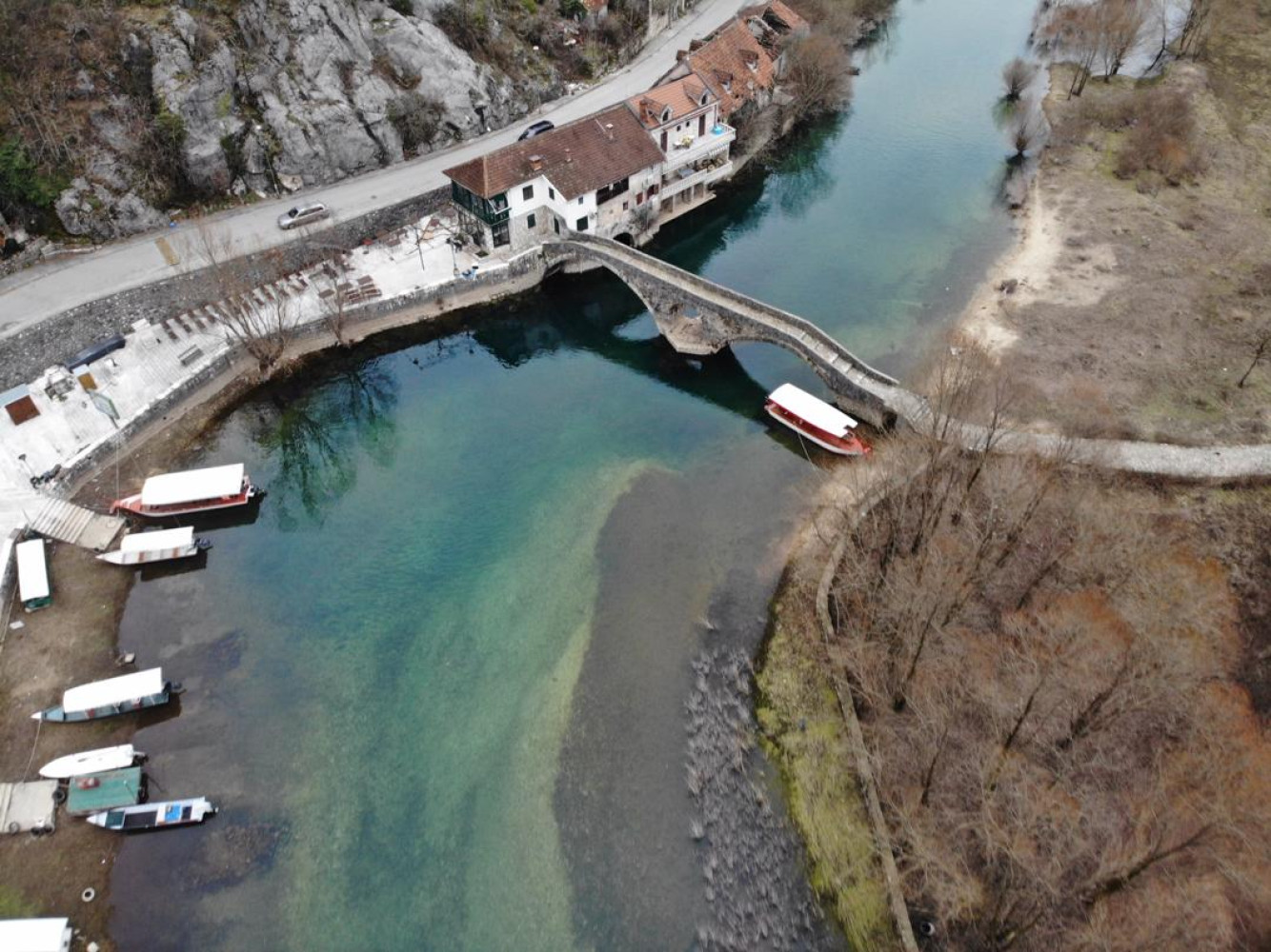 Univerzitet Crne Gore