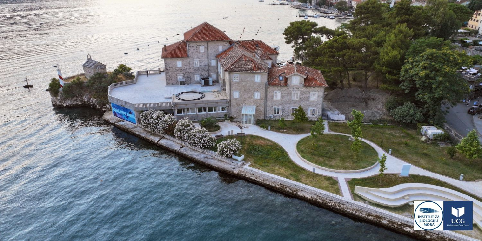 Univerzitet Crne Gore