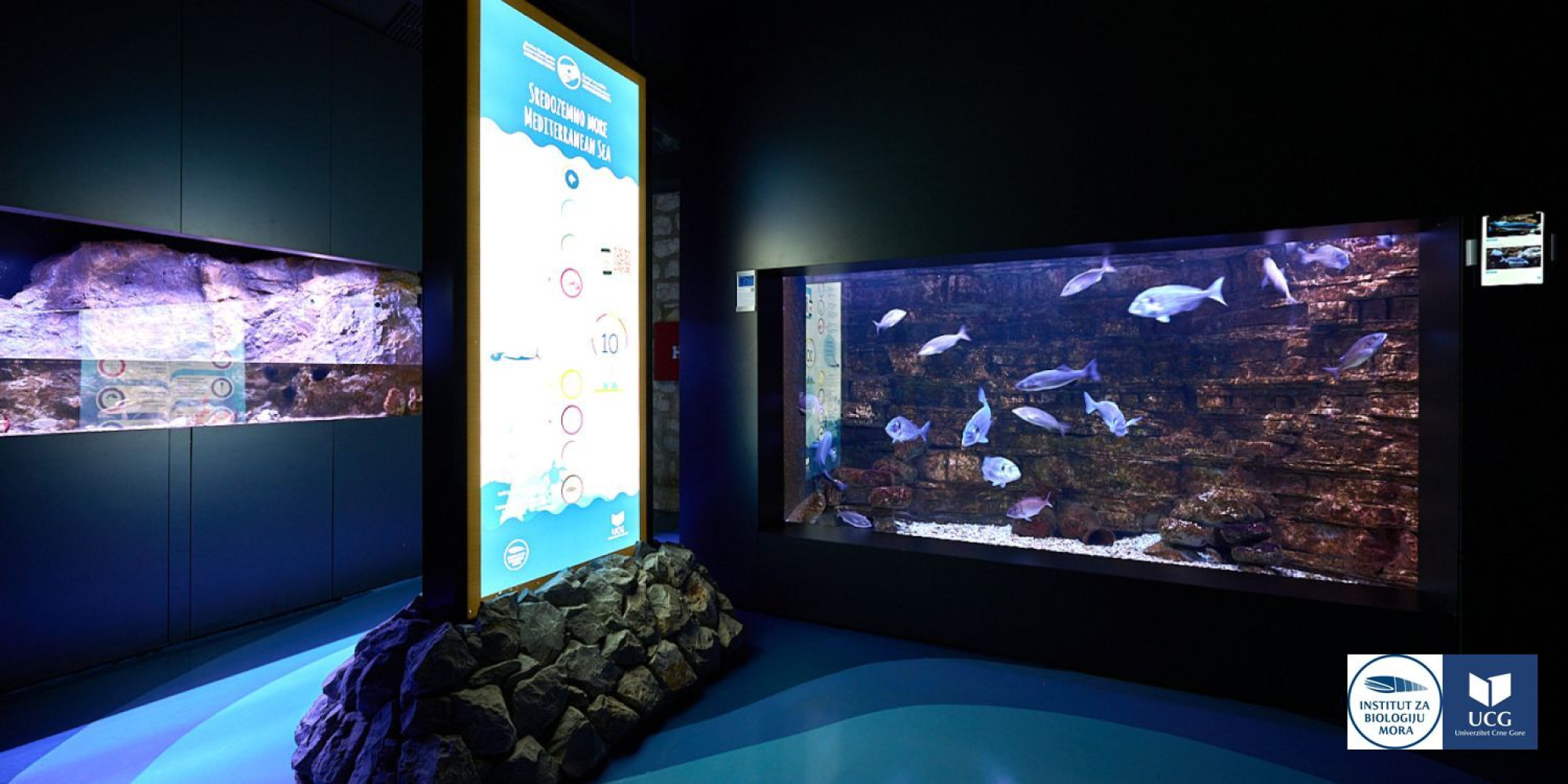 AKVARIJUM BOKA    Radno vrijeme