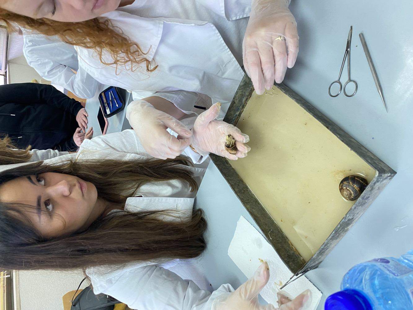 Univerzitet Crne Gore