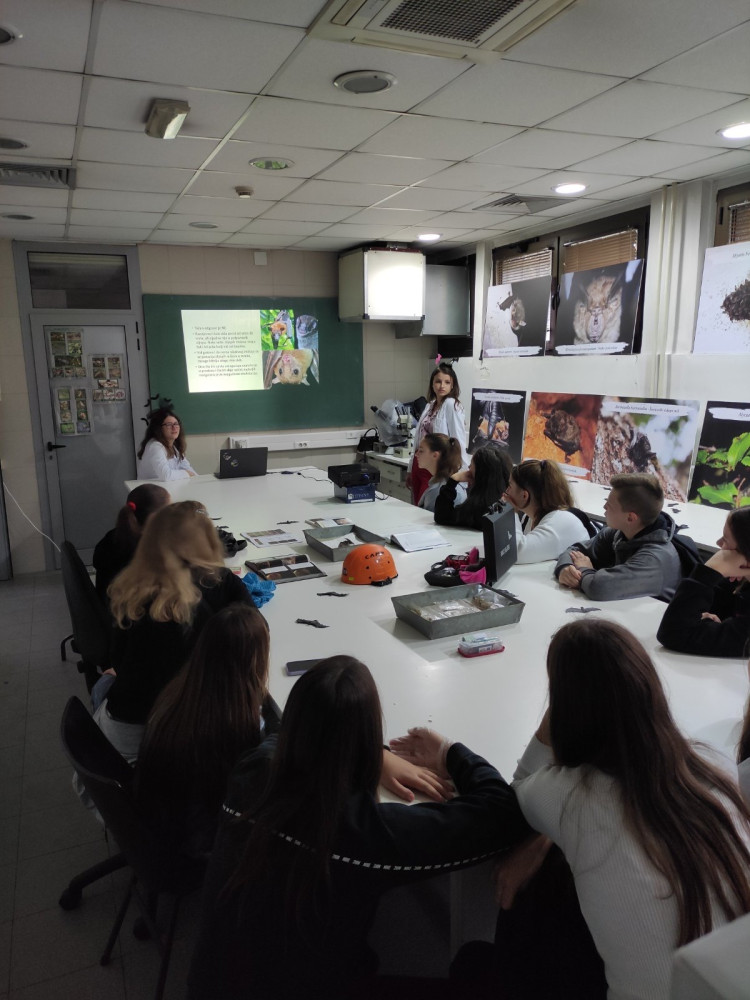 Univerzitet Crne Gore