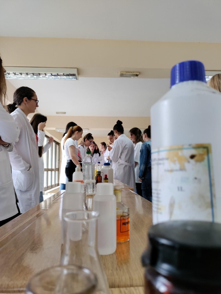 Univerzitet Crne Gore