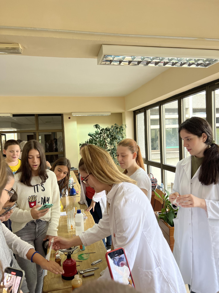 Univerzitet Crne Gore