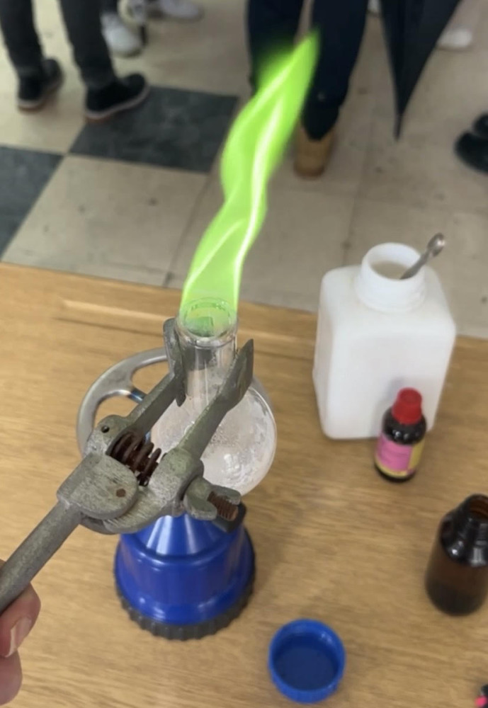 Univerzitet Crne Gore