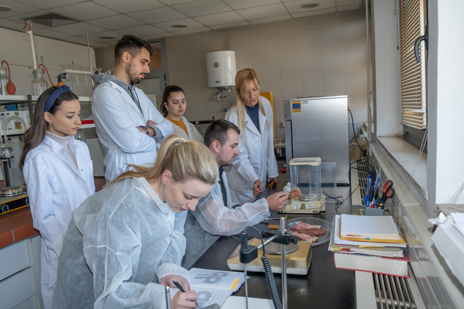 Univerzitet Crne Gore