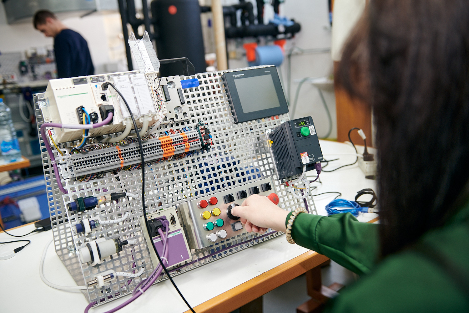 Univerzitet Crne Gore