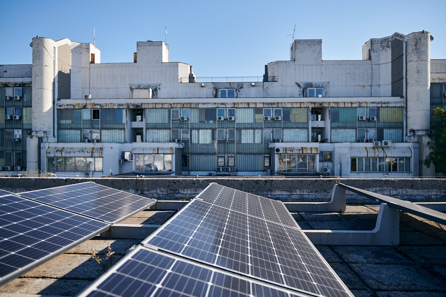 Univerzitet Crne Gore