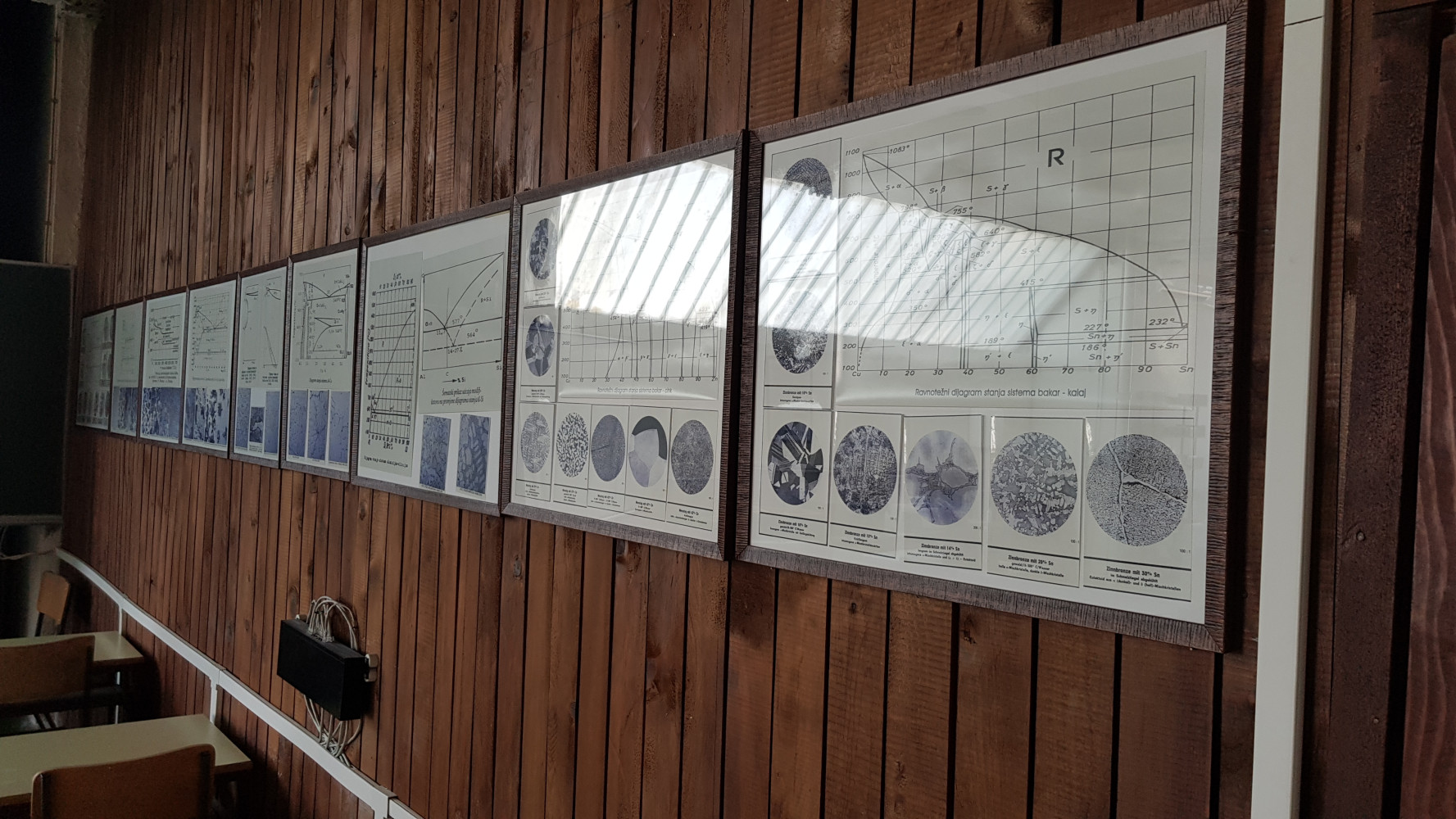 Univerzitet Crne Gore