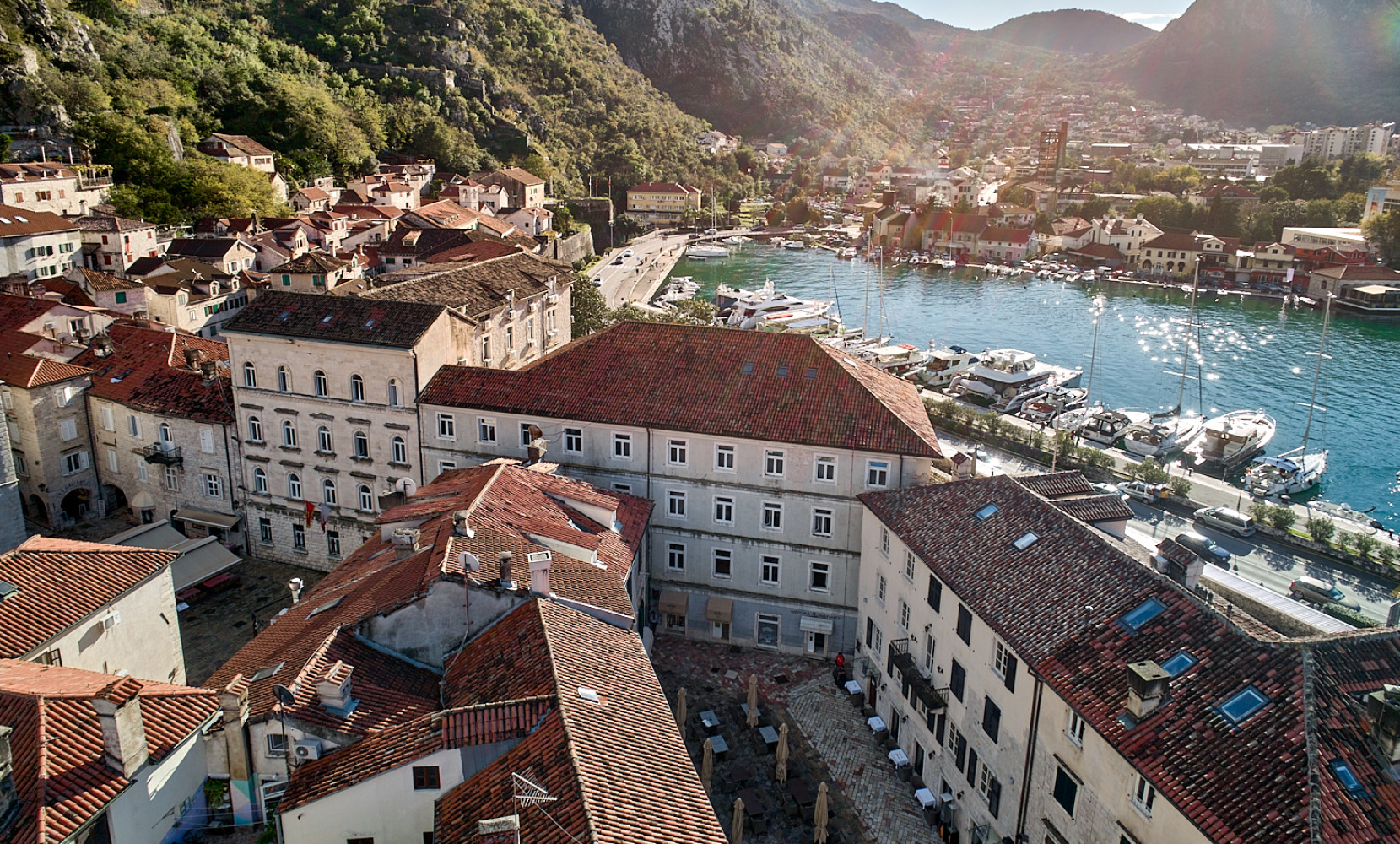 Univerzitet Crne Gore