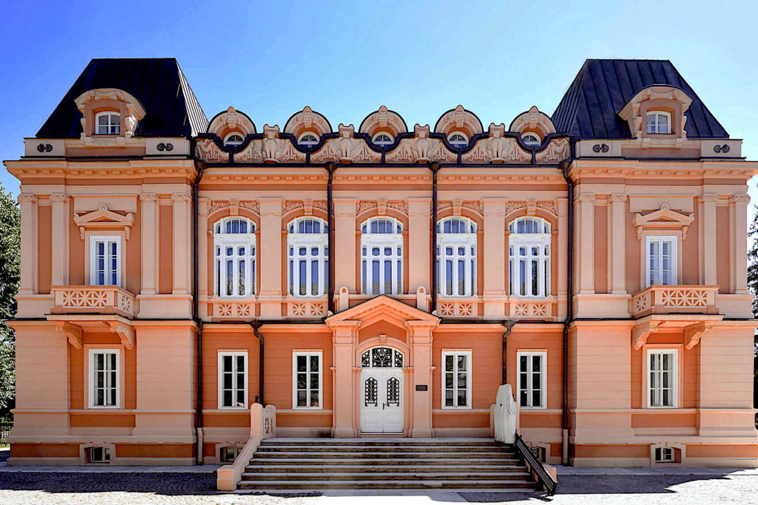 Univerzitet Crne Gore