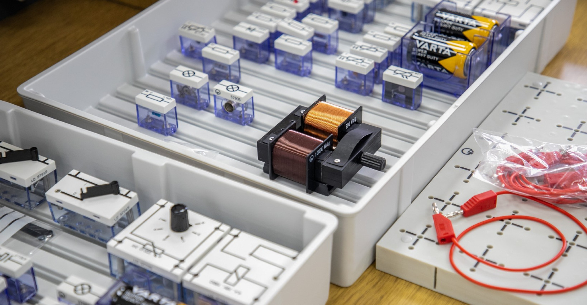 Univerzitet Crne Gore