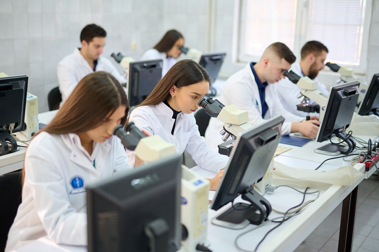 Univerzitet Crne Gore