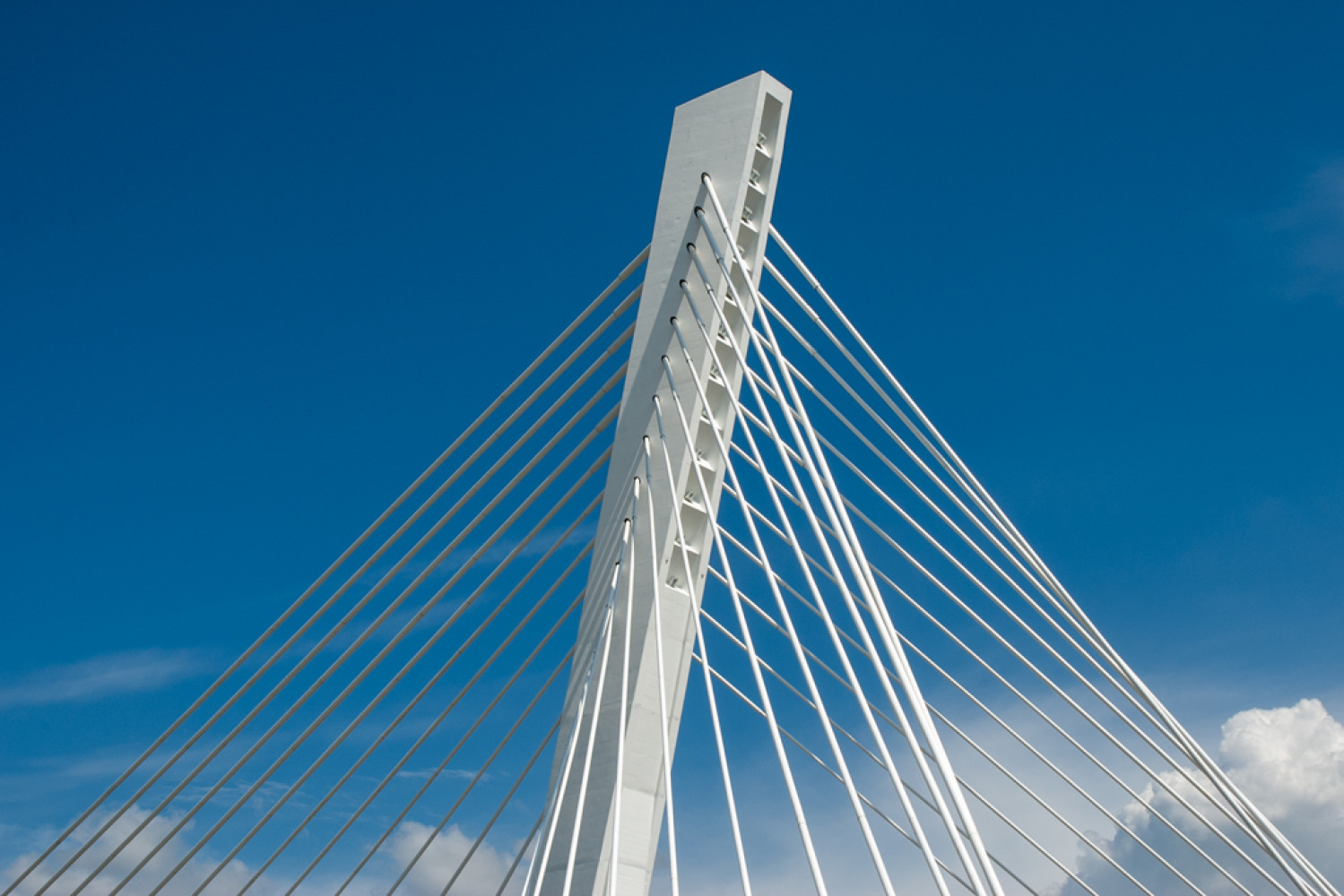 Osnovan 1980. godine
 
 
 
 
 
 O fakultetu