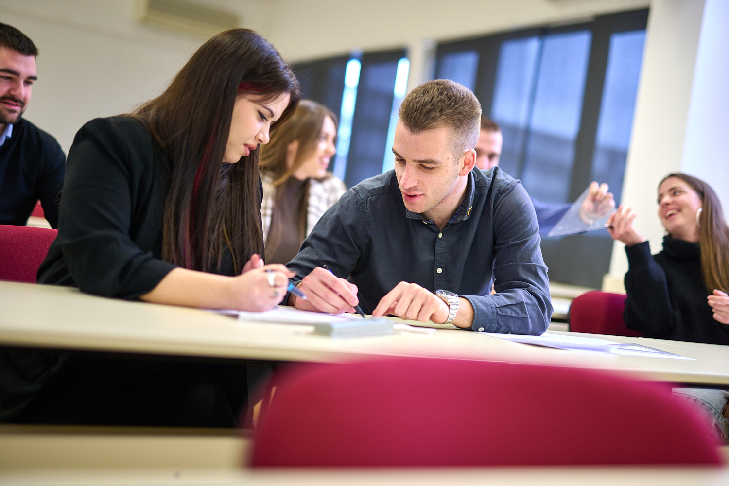 Univerzitet Crne Gore