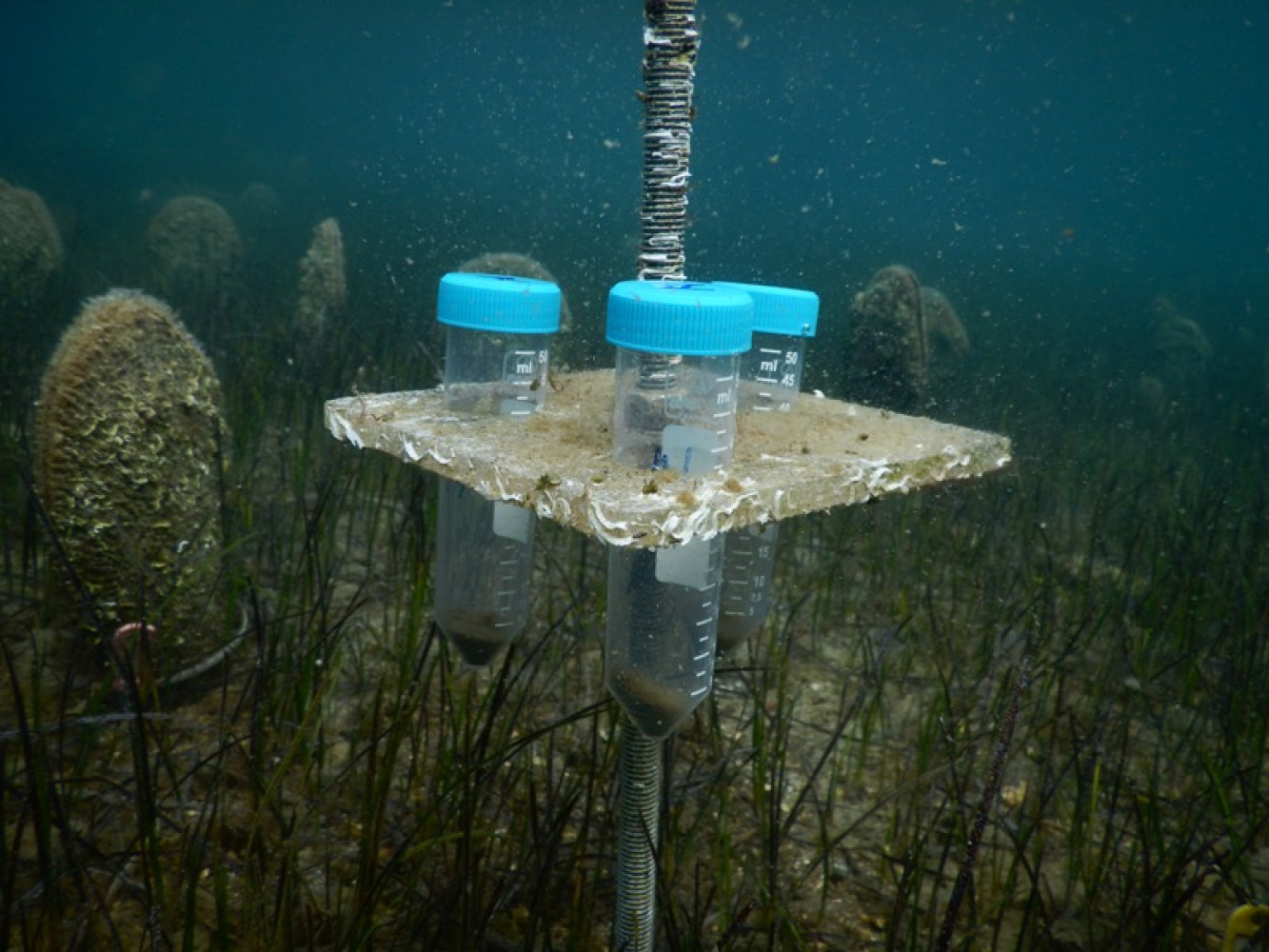 Projekat PinnaSPOT_resuspenzija sedimenta
 
 
 
 
 o projektu PinnaSpot