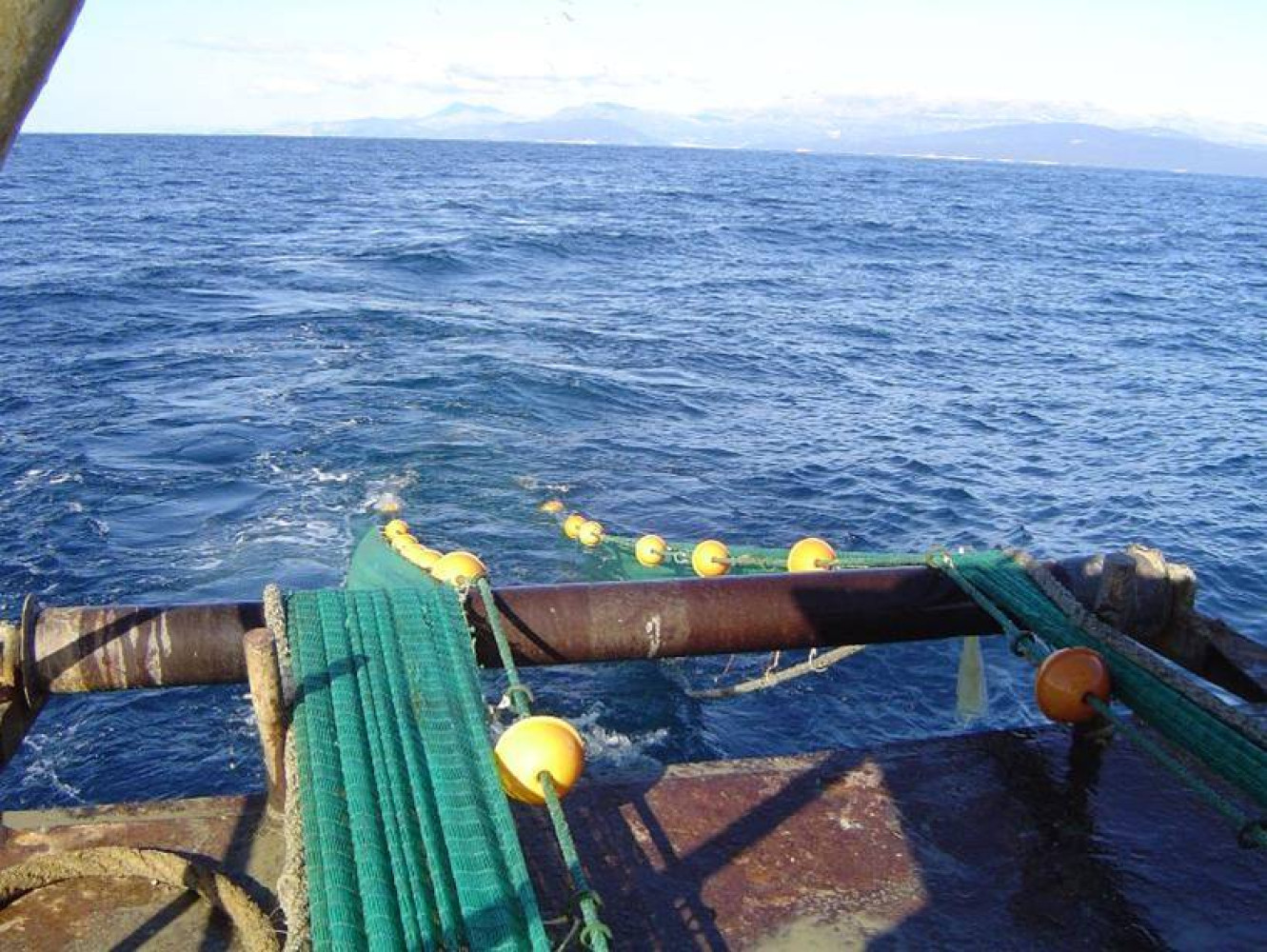 Univerzitet Crne Gore