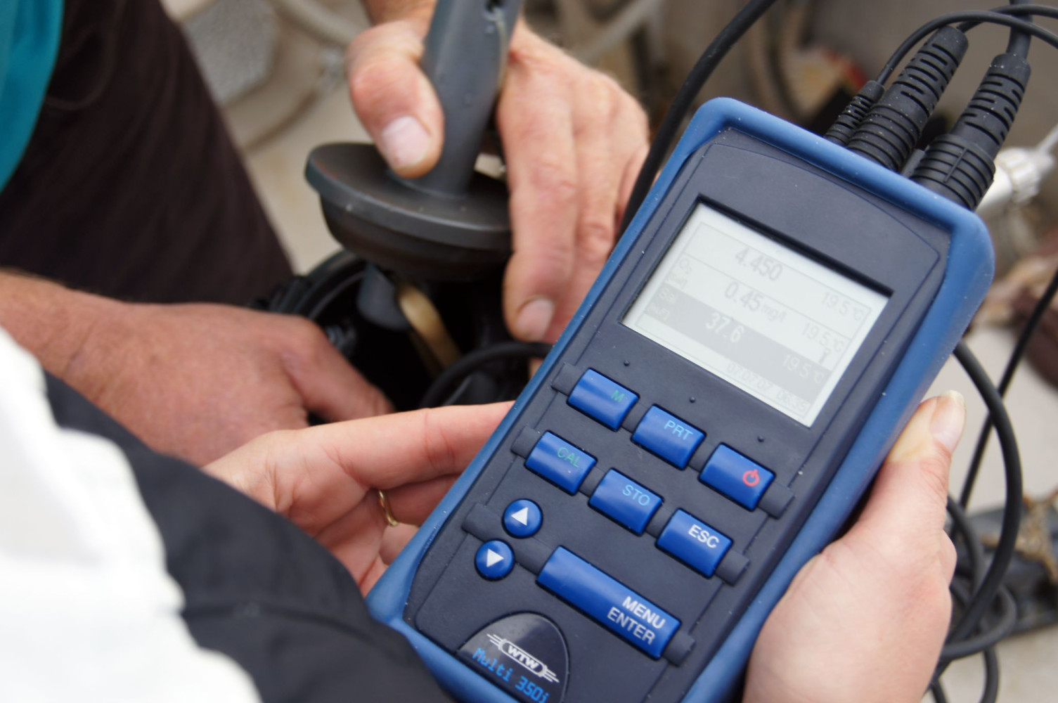 Univerzitet Crne Gore