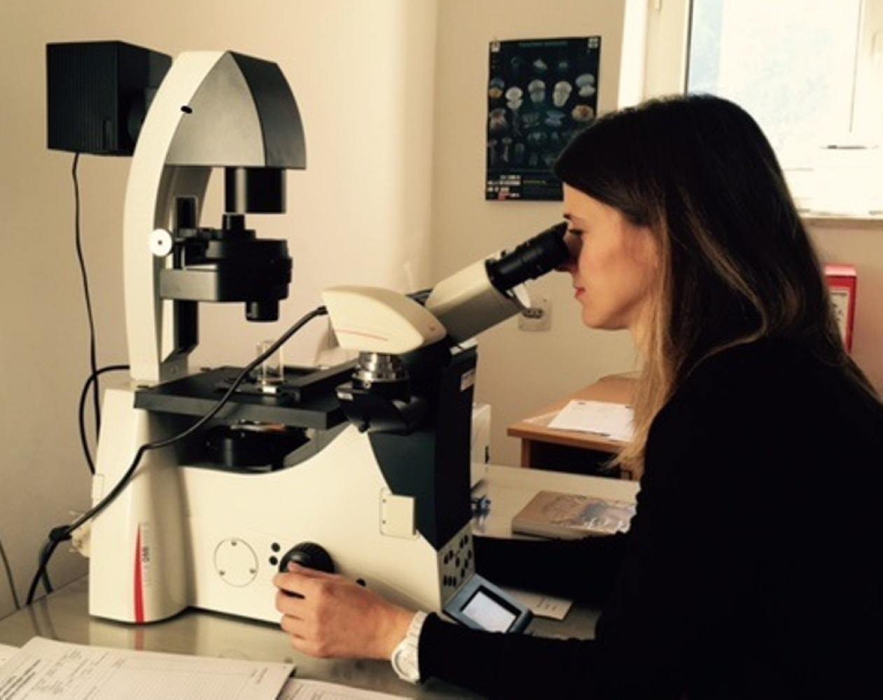 Univerzitet Crne Gore