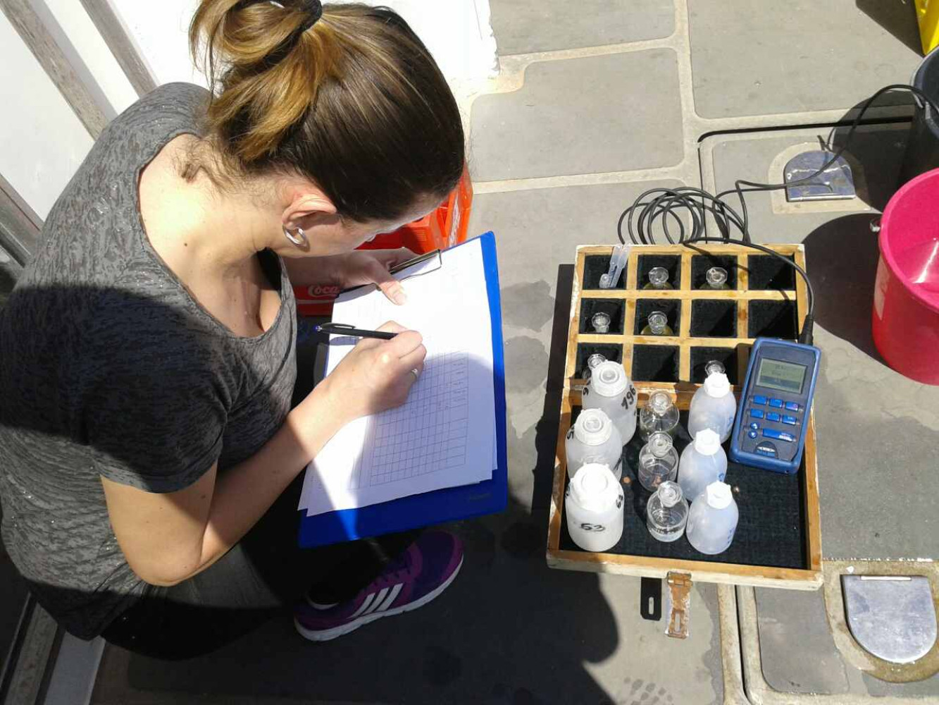 Univerzitet Crne Gore