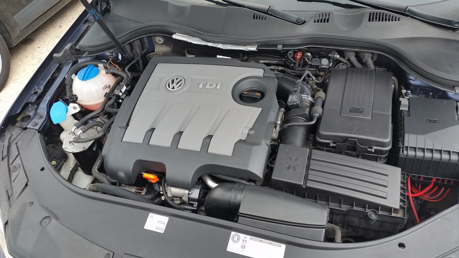 Univerzitet Crne Gore