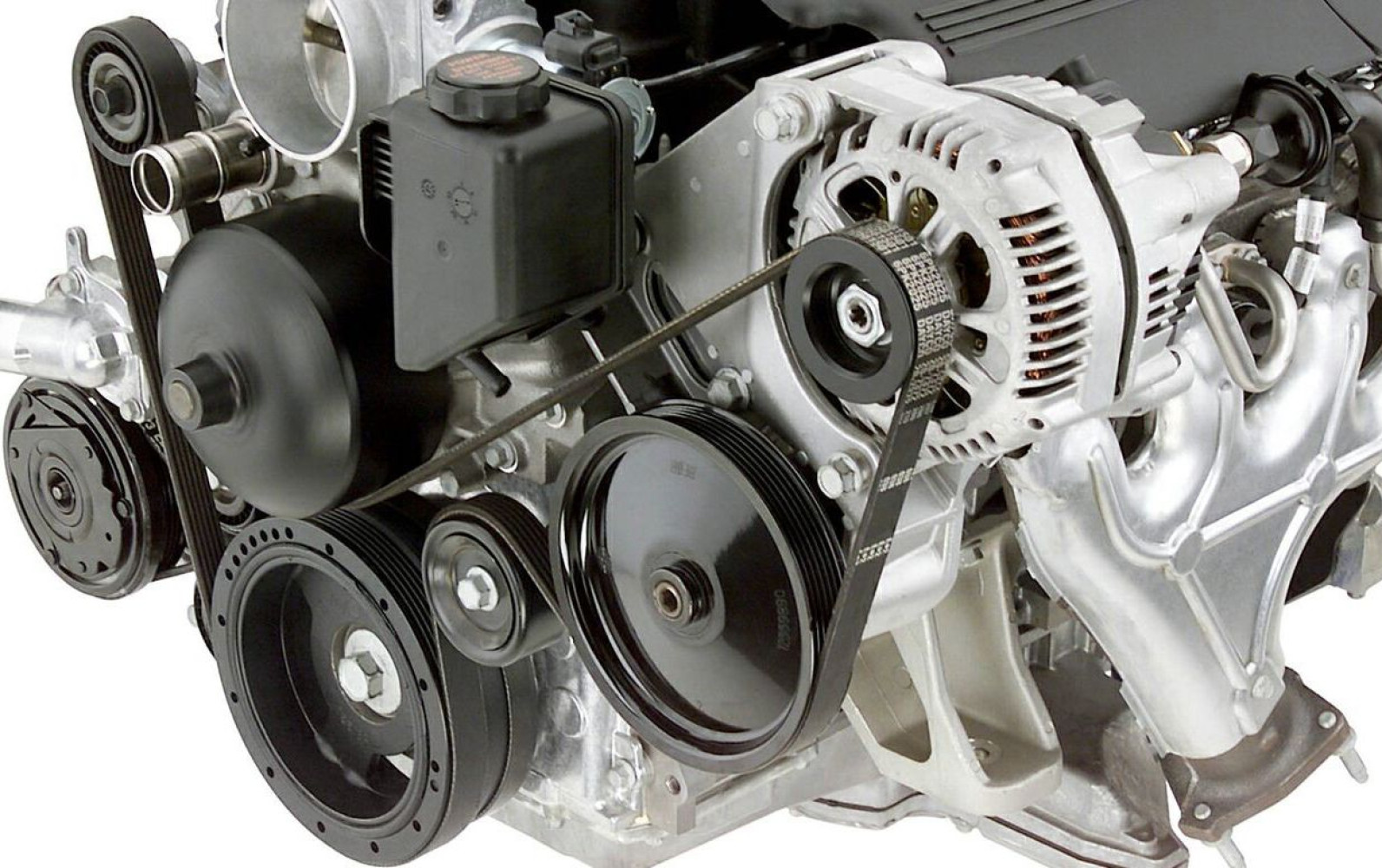 Univerzitet Crne Gore