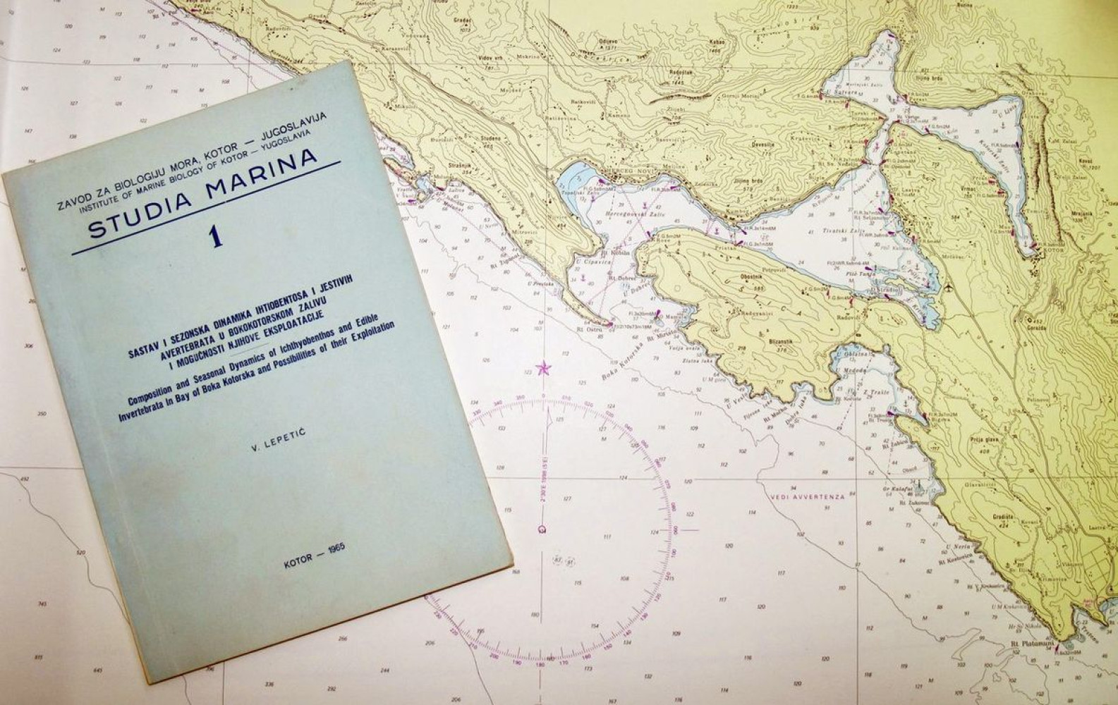 Univerzitet Crne Gore