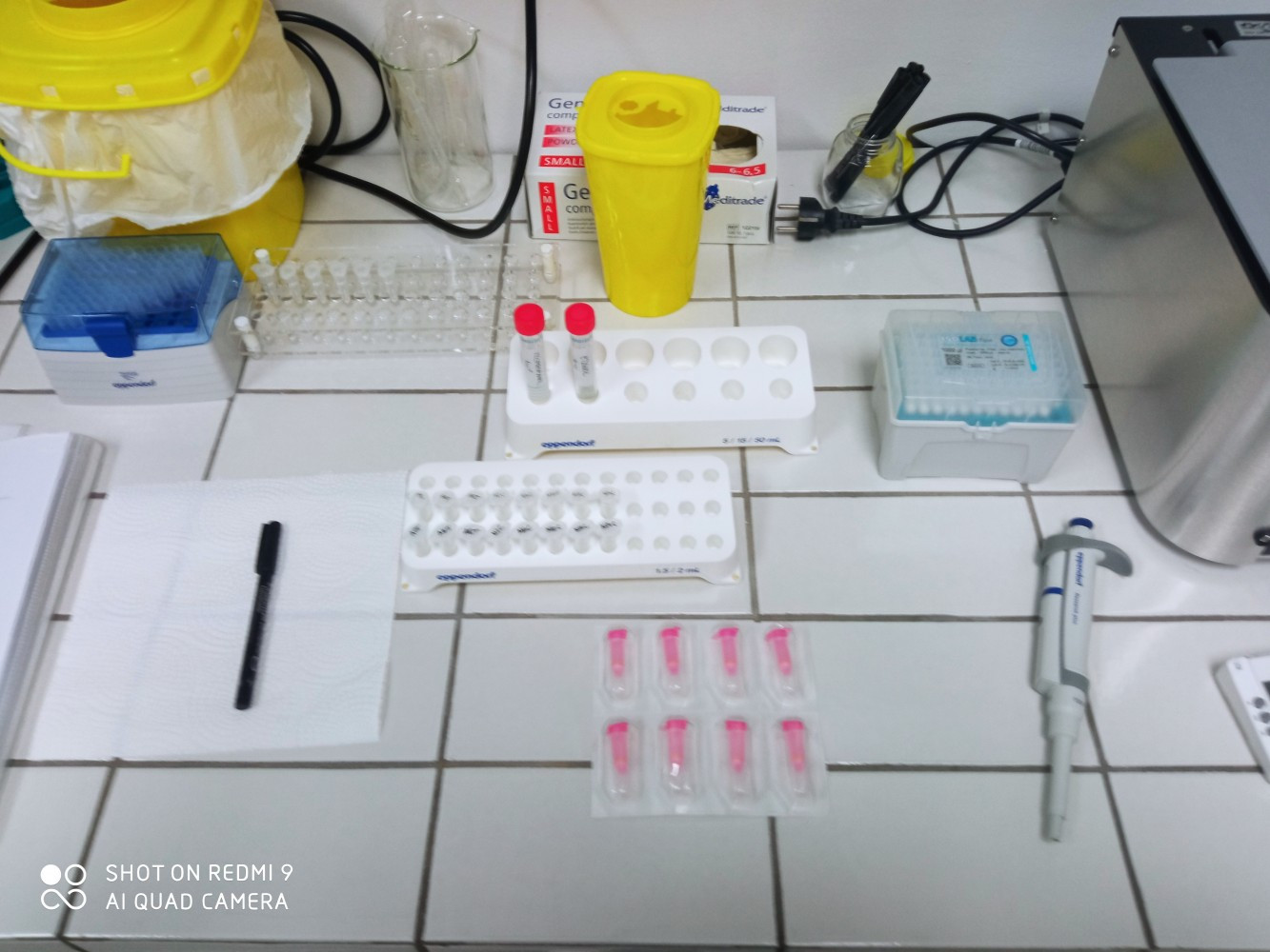 Univerzitet Crne Gore