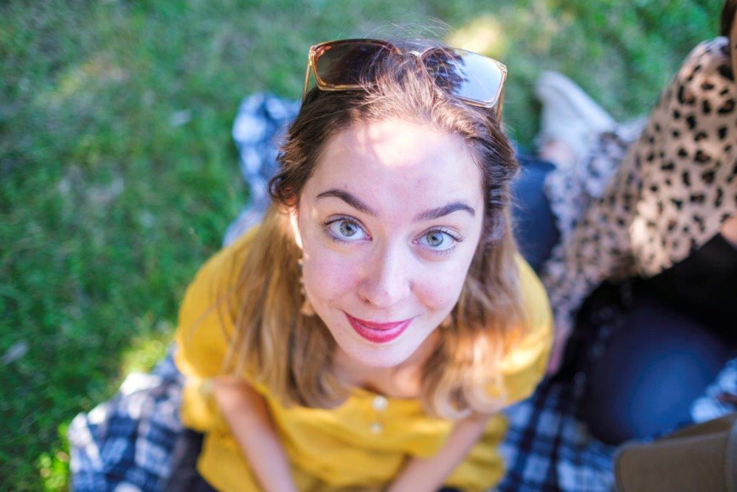 Univerzitet Crne Gore