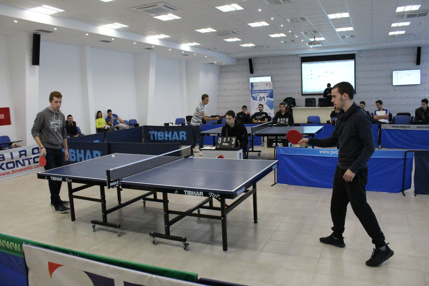 Univerzitet Crne Gore