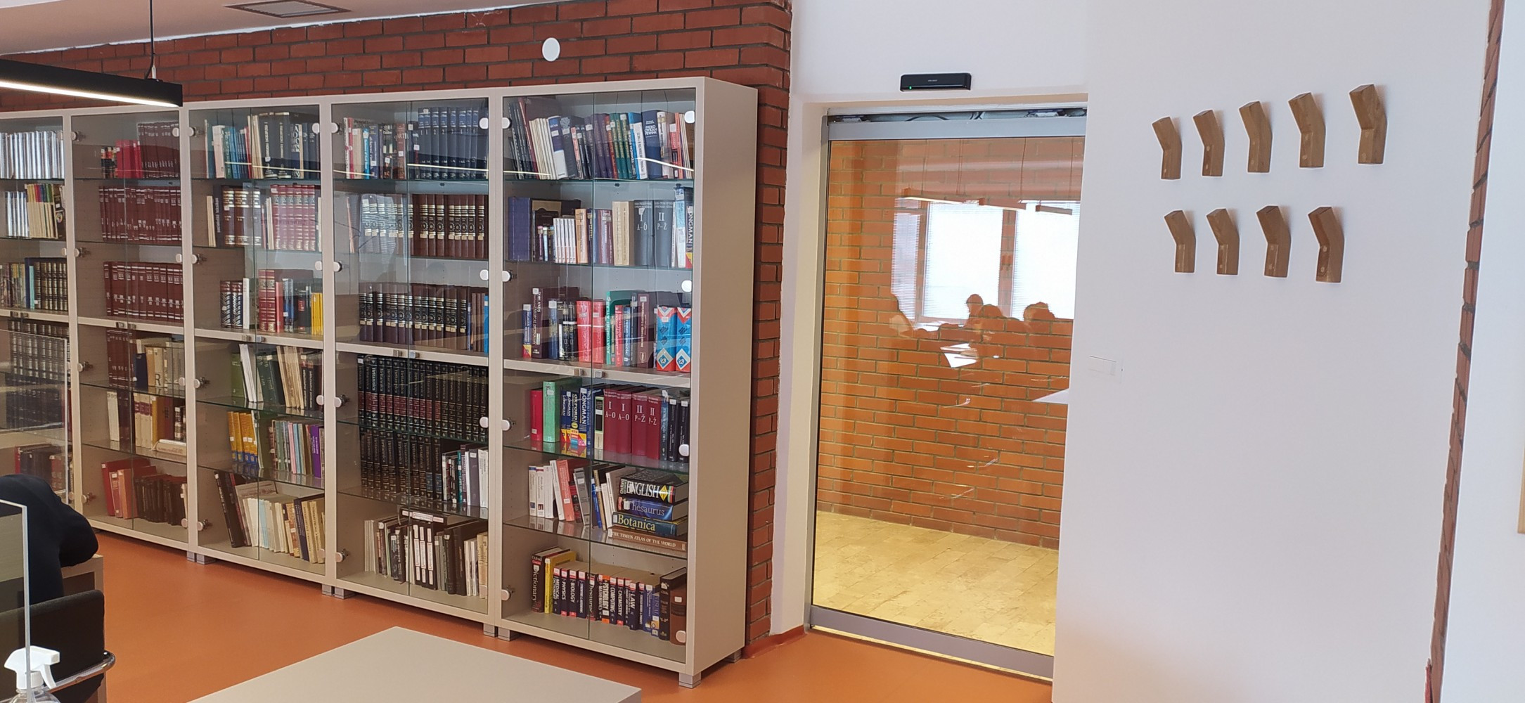 Univerzitet Crne Gore